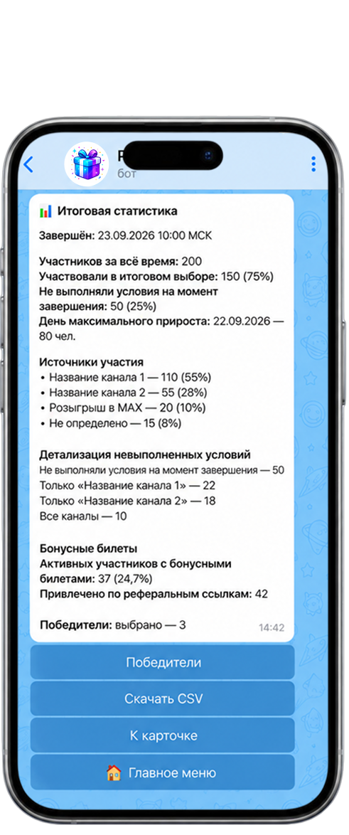 Пример итоговой статистики розыгрыша в интерфейсе Randomize Bot